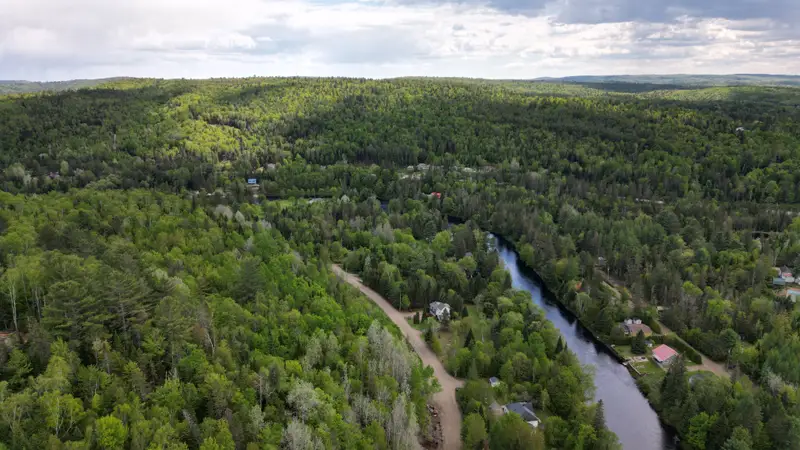 La rivière, au cœur de la forêt